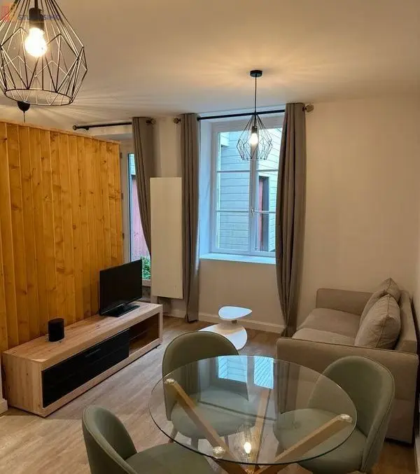 Studio meublé 30m² Orléans centre - Lumineux - Photo 8