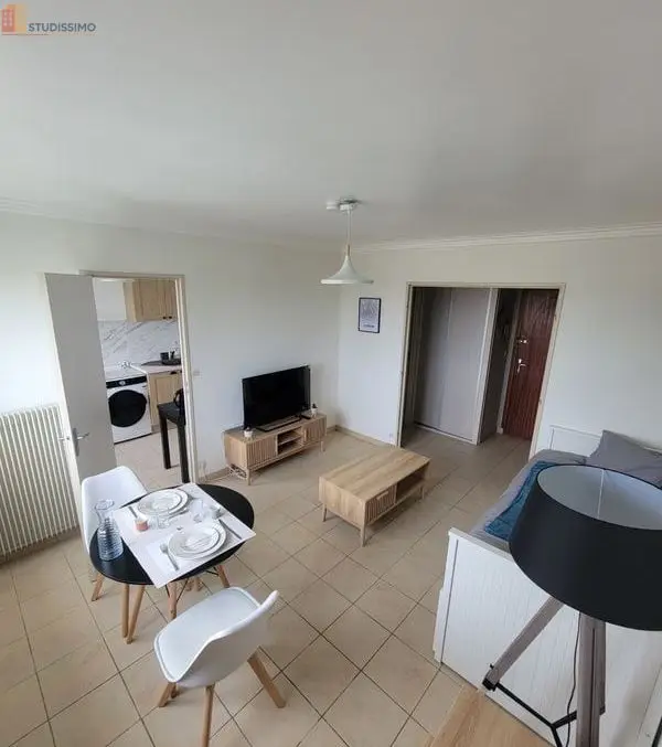 Studio meublé 31m² Fleury-les-Aubrais - Dernier étage, lumineux - Photo 3