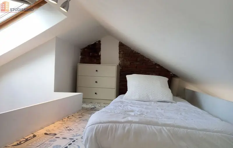 Studio meublé 16m² Orléans - Bord de Loire, lumineux - Photo 13
