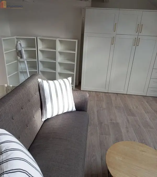 Studio meublé 16m² Orléans - Bord de Loire, lumineux - Photo 14