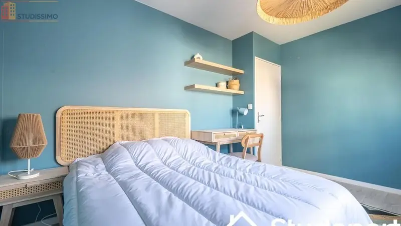 Studio meublé 12m² Nantes 44200 - Calme, 4e étage - Photo 58