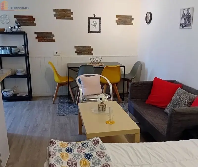 Studio 23m² Nantes 44100 - Meublé, lumineux - Photo 1