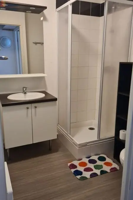 Studio 19m² Nantes 44300 - Meublé, lumineux - Photo 7