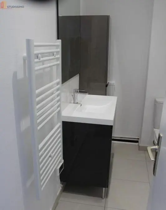 Studio meublé 30m² Saumur - Dernier étage, lumineux - Photo 1