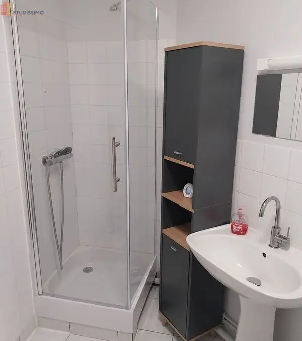 Studio meublé 32m² Sainte-Gemmes-sur-Loire - Meublé, 1er étage - Photo 1