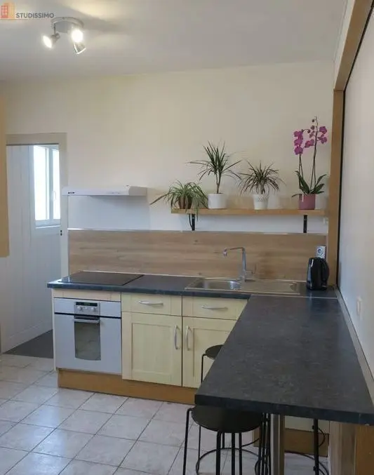 Studio meublé 12m² Angers 49100 - Meublé, DPE D - Photo 10