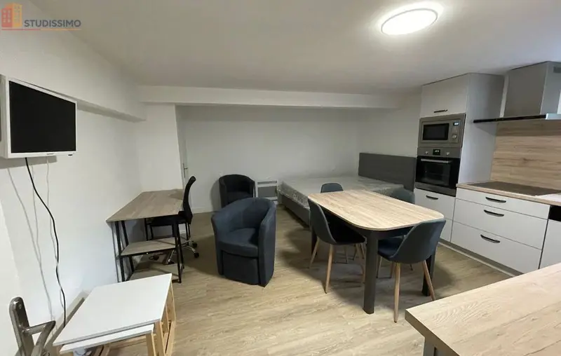 Studio meublé 25m² Segré-en-Anjou-Bleu - Meublé, DPE D - Photo 18