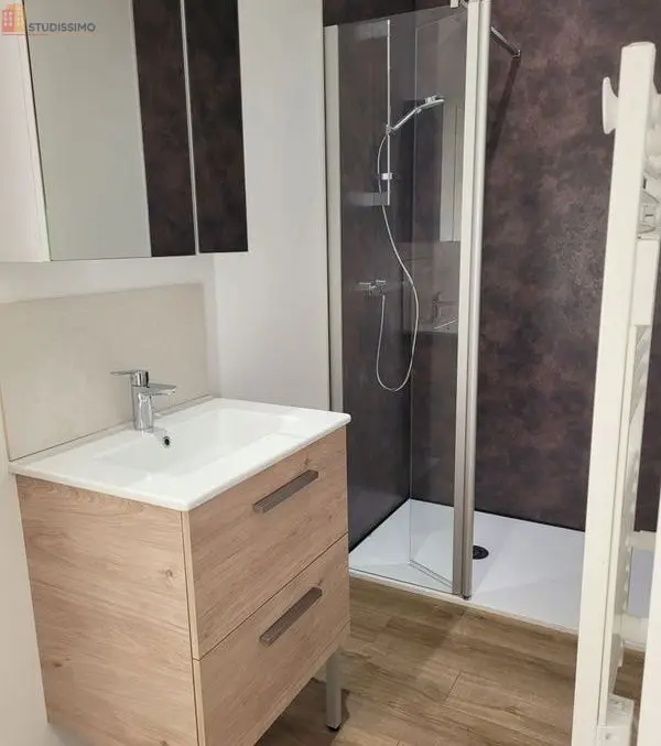 Studio meublé 20m² Les Ponts-de-Cé - Meublé, DPE A - Photo 1