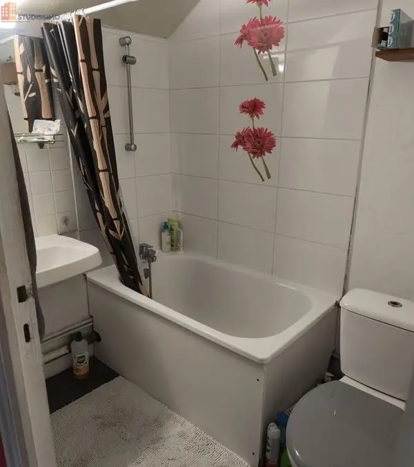 Studio 19m² Angers 49100 - Petite résidence entretenue - Photo 14