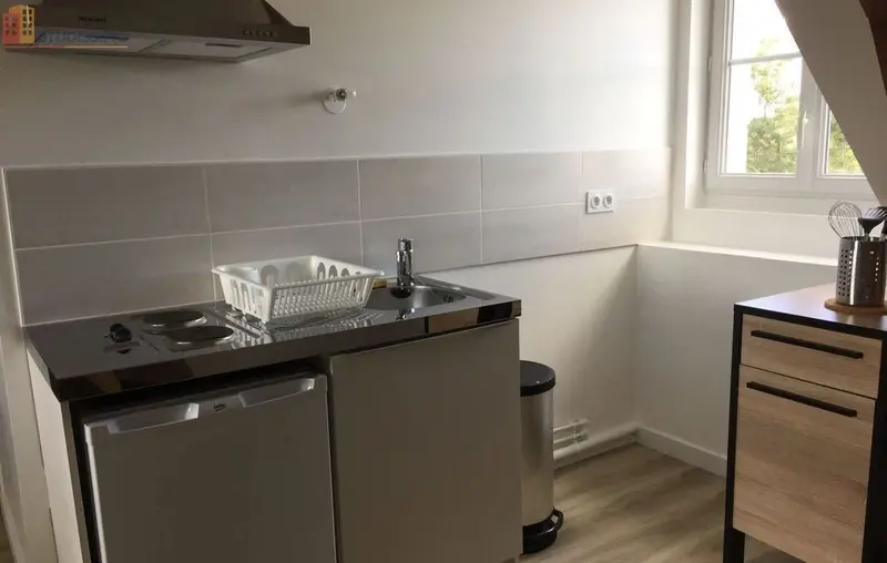 Studio 31m² Sainte-Gemmes-sur-Loire - Meublé, lumineux - Photo 1