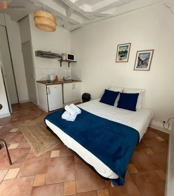 Studio meublé 18m² Angers 49100 - Centre-ville, 2e étage - Photo 20
