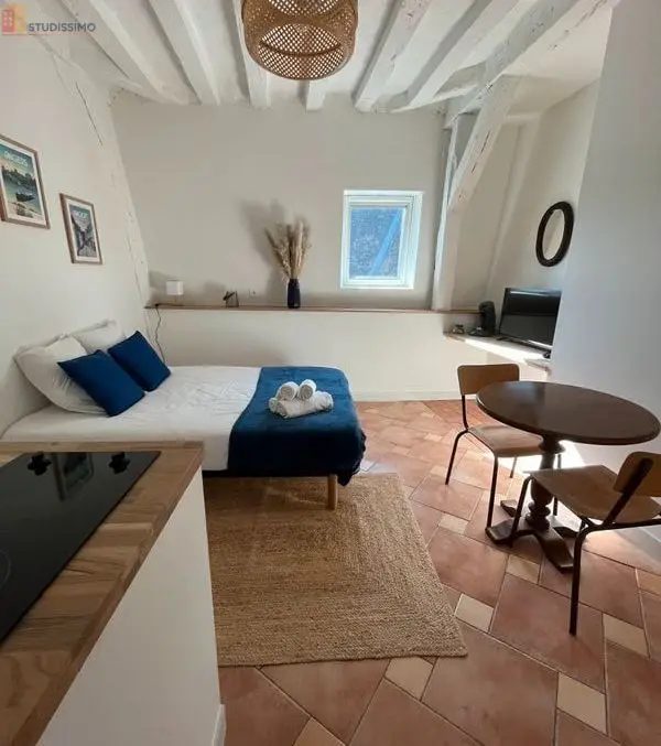 Studio meublé 18m² Angers 49100 - Centre-ville, 2e étage - Photo 15
