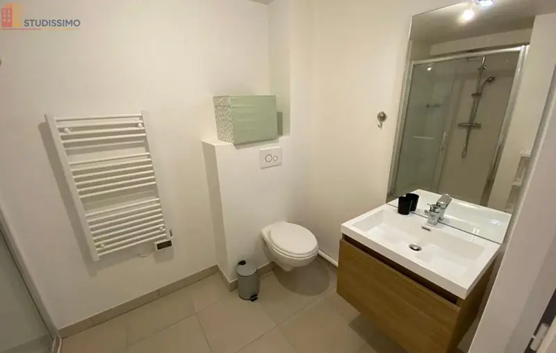 Studio 20m² Reims 51100 - Meublé, lumineux - Photo 3