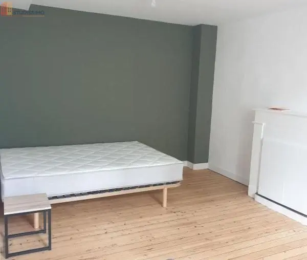 Studio 30m² Laval - Meublé, lumineux - Photo 2