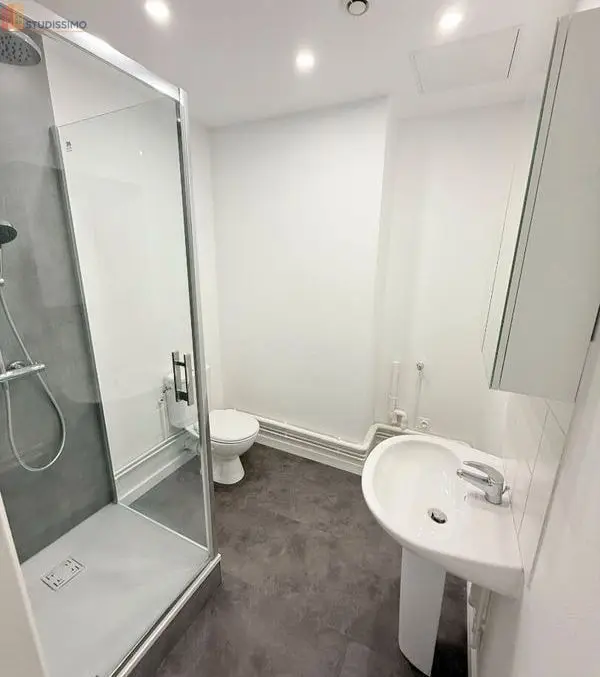 Studio 19m² Nancy 54000 - 4e étage, lumineux - Photo 5