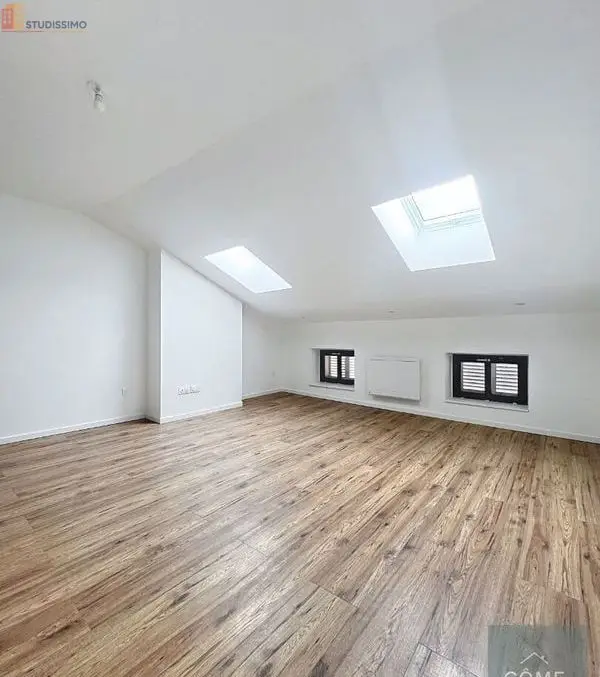 Studio 28m² Nancy 54000 - Dernier étage, lumineux - Photo 1
