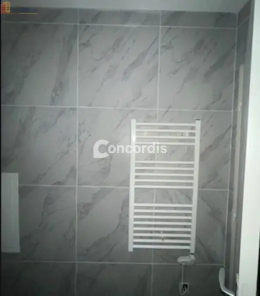 Studio meublé 25m² Nancy - Meublé, 1er étage - Photo 18