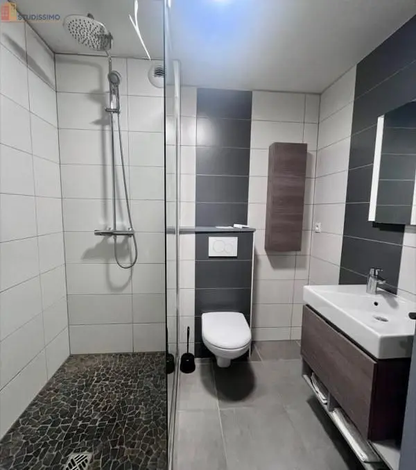 Studio meublé 31m² Nancy 54000 - Lumineux, calme - Photo 6