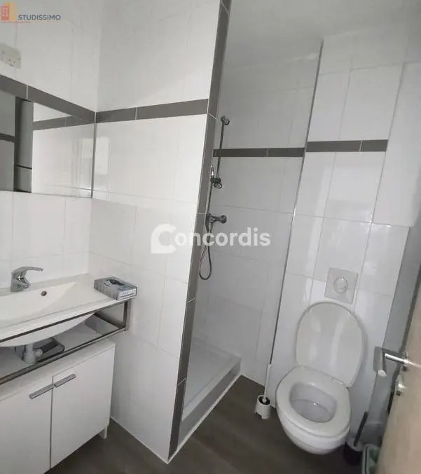 Studio 20m² Nancy 54000 - Meublé, lumineux - Photo 4