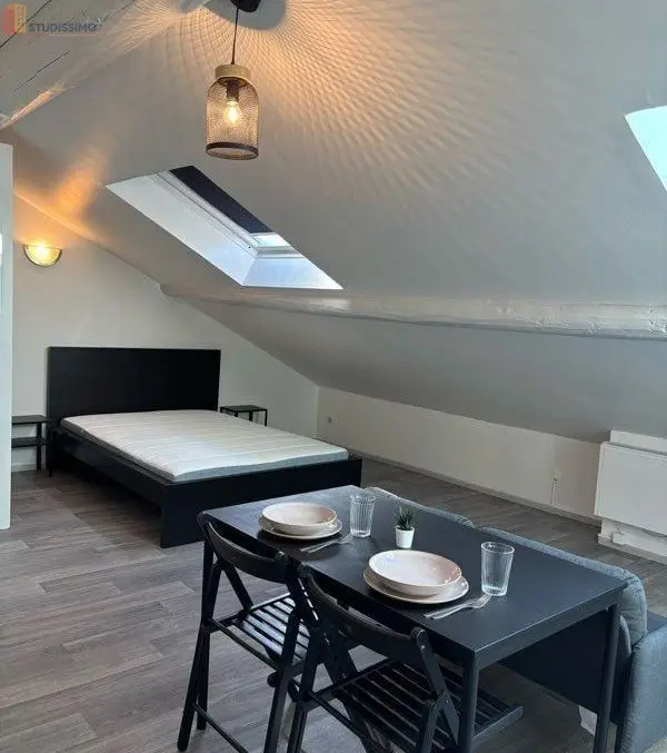Studio 20m² Nancy 54000 - Meublé, proche IUT - Photo 4