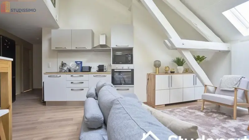 Studio meublé 16m² Nancy centre - Lumineux - Photo 4