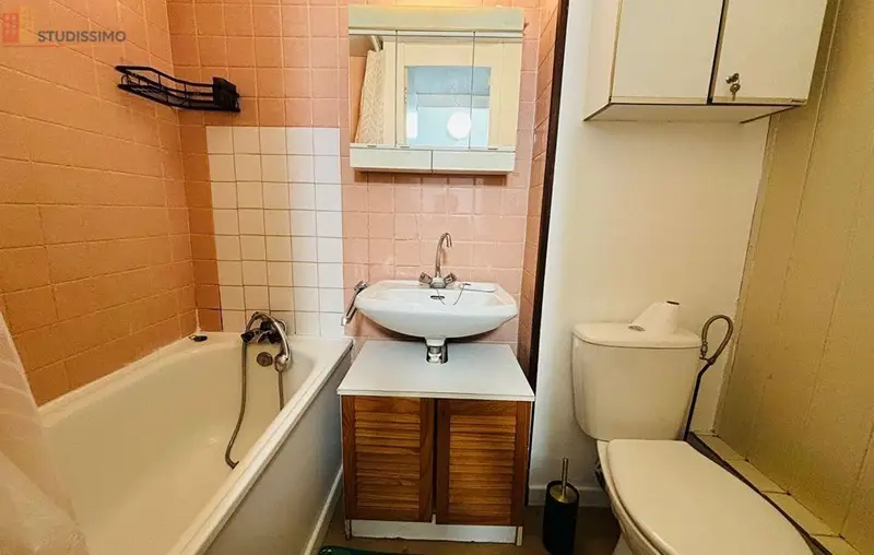Studio meublé 17m² Vandoeuvre-lès-Nancy - Meublé, dernier étage - Photo 8