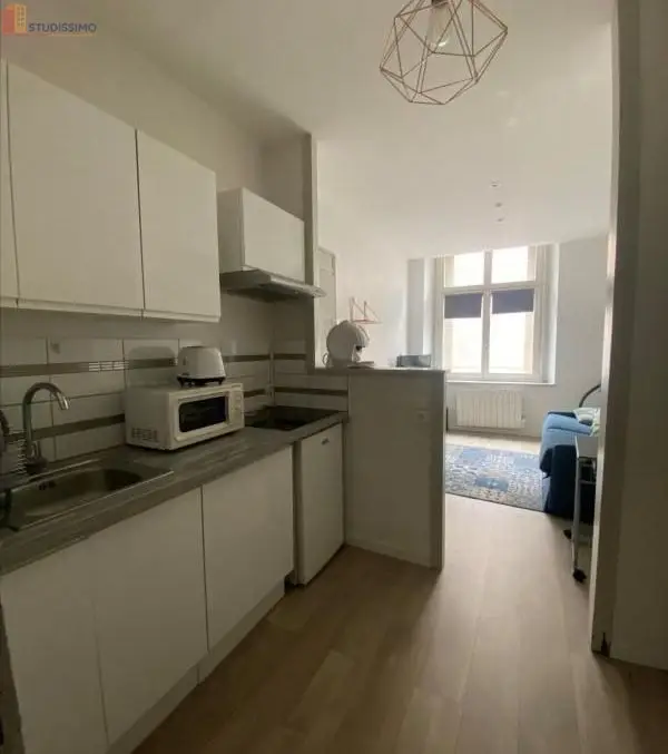 Studio meublé 18m² Nancy 54000 - Meublé, fonctionnel - Photo 3