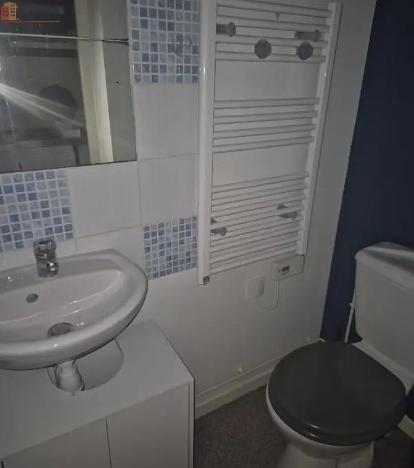 Studio meublé 15m² Nancy 54000 - Meublé, DPE C - Photo 1