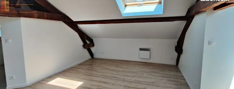 Studio 30m² Nancy 54000 - Lumineux, proche pépinière - Photo 6