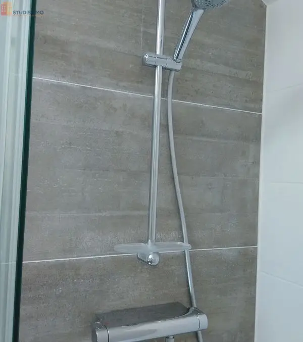 Studio 30m² Nancy 54000 - Lumineux, proche pépinière - Photo 4