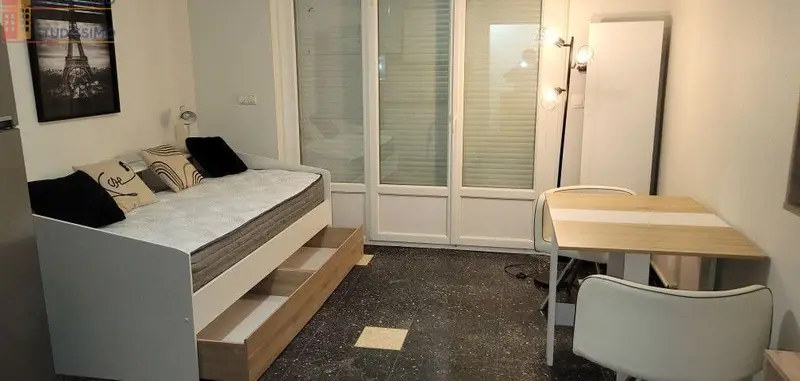 Studio meublé 23m² Nancy centre - Jardin, proche Artem - Photo 3