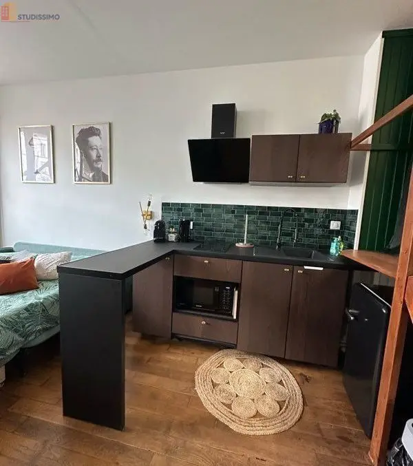 Studio meublé 20m² Nancy 54000 - Garage, lumineux - Photo 3