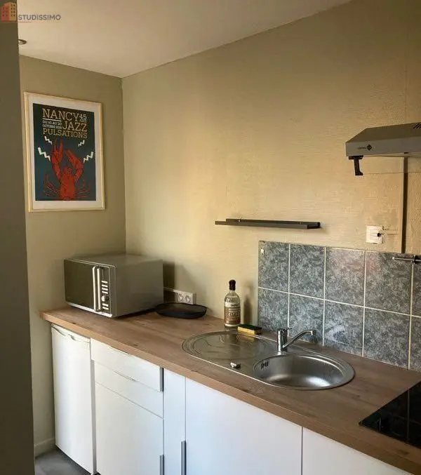 Studio 23m² Nancy - Meublé, proche parc Sainte-Marie - Photo 2