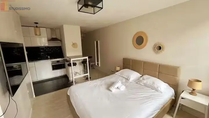 Studio meublé 27m² Nancy centre - Meublé, lumineux - Photo 3