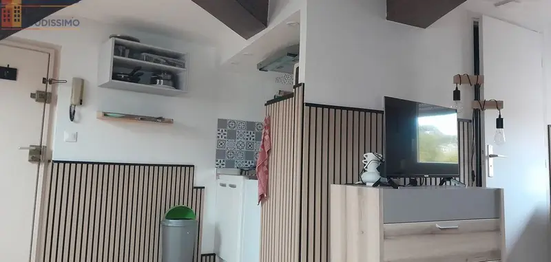 Studio meublé 25m² Nancy 54000 - Meublé, dernier étage - Photo 1