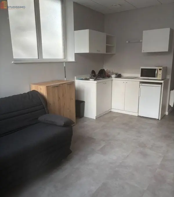Studio meublé 31m² Nancy 54000 - Lumineux, calme - Photo 3