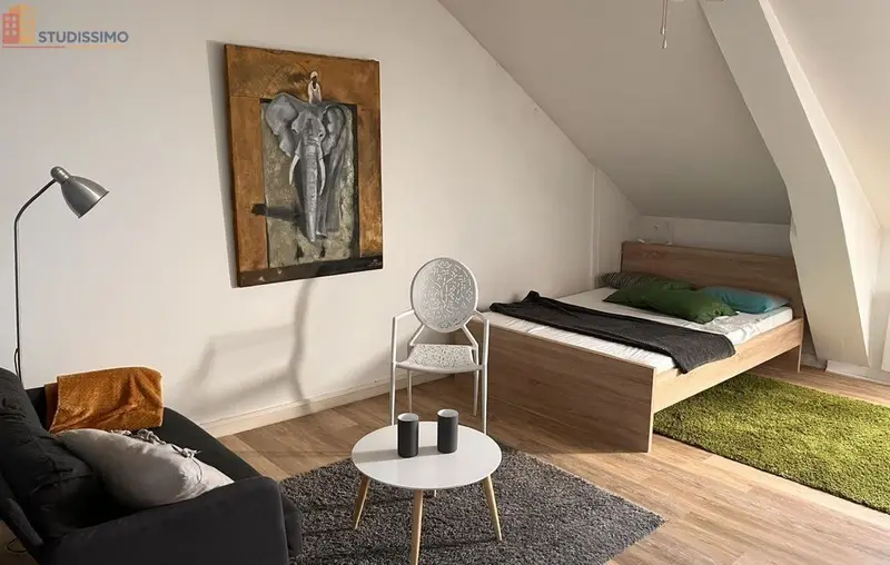 Studio meublé 30m² Vannes - Charmant, dernier étage - Photo 5