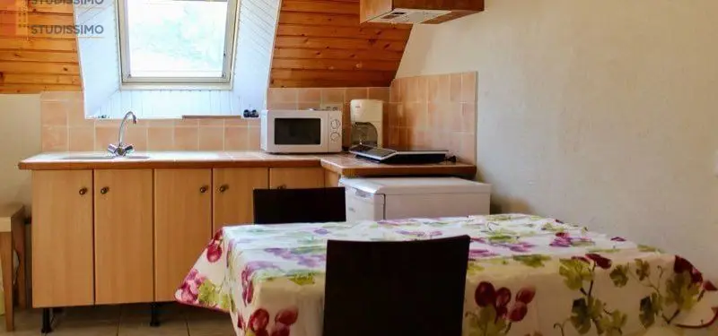 Studio meublé 19m² Carentoir - Meublé, calme - Photo 2