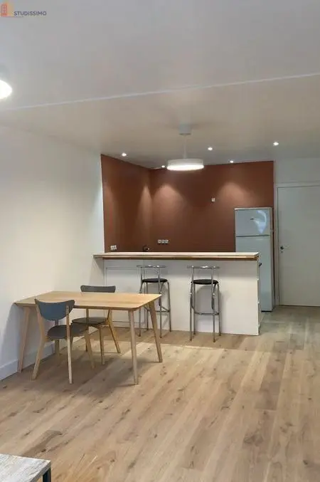 Studio meublé 45m² Vannes - Proche port, lumineux - Photo 3