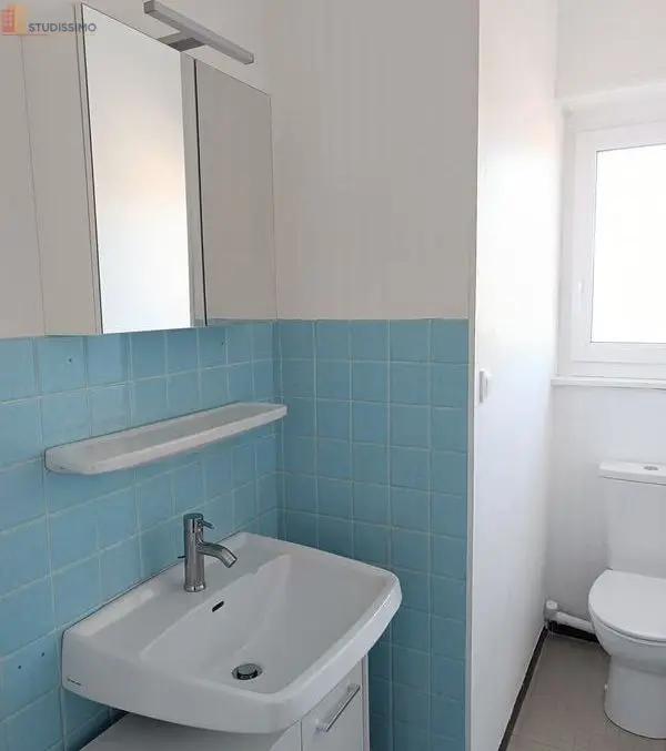 Studio 20m² Sarrebourg - Sans caractéristiques disponibles - Photo 1