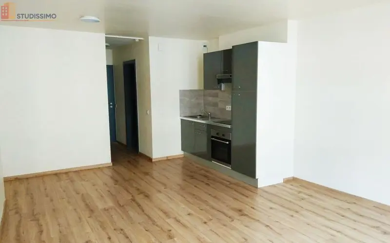 Studio 35m² Sarrebourg centre - Standing, lumineux - Photo 3