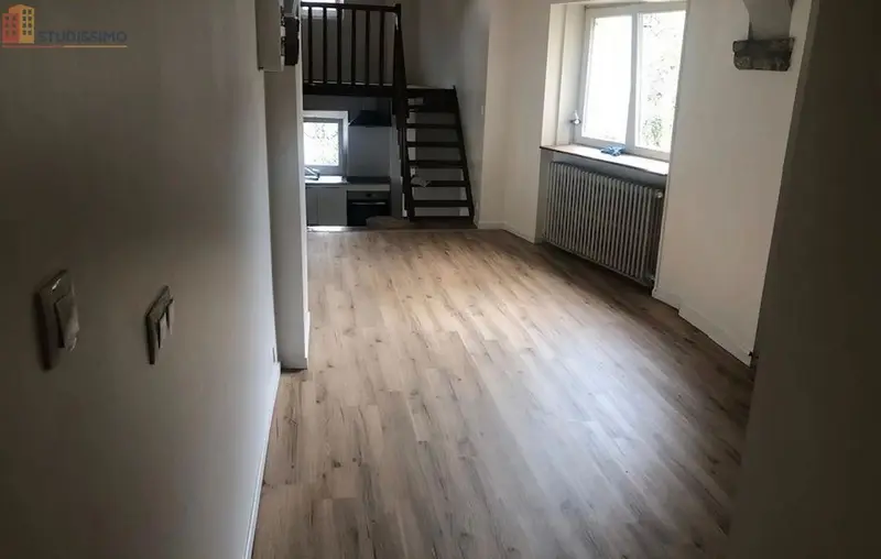 Studio 60m² Saint-Avold - Aucun caractère mentionné - Photo 3