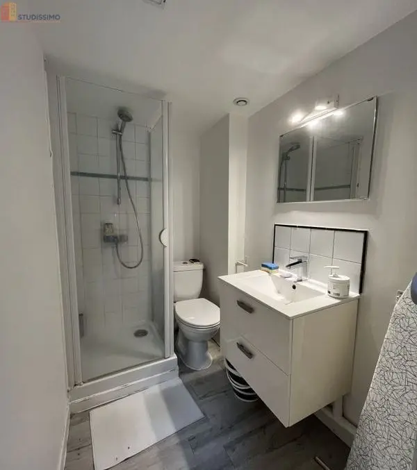 Studio 17m² Thionville - Dernier étage, lumineux - Photo 2