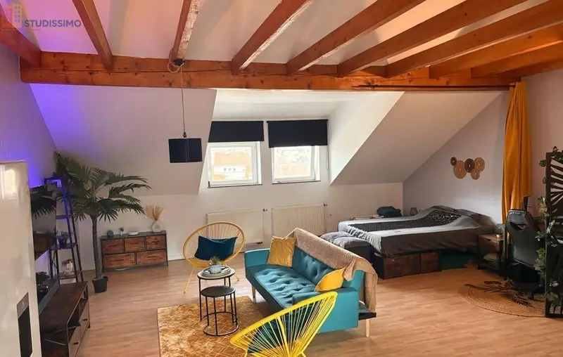 Studio 45m² Forbach - Lumineux, charme et volumes - Photo 3