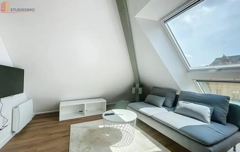 Studio meublé 20m² Metz centre - Calme, lumineux - Photo 1