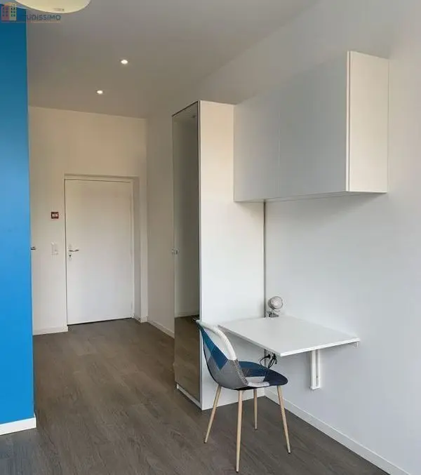 Studio meublé 23m² Sarreguemines - Étage 3, DPE C - Photo 7