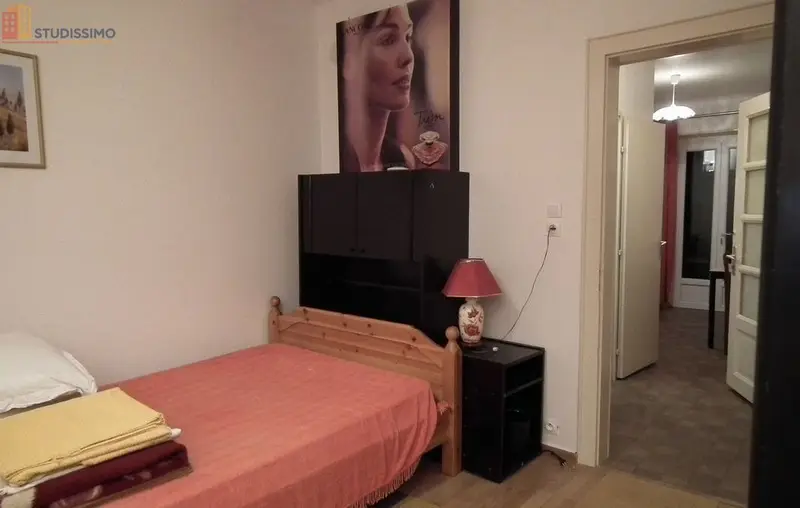 Studio meublé 35m² Sarreguemines - Terrasse, lumineux - Photo 15