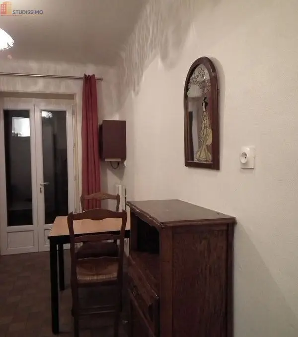 Studio meublé 35m² Sarreguemines - Terrasse, lumineux - Photo 14