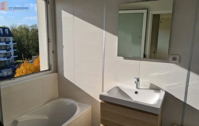 Studio meublé 26m² Thionville - Lumineux, calme - Photo 23