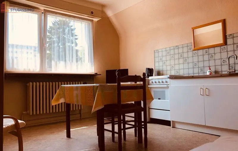 Studio meublé 16m² Saint-Avold - Idéal étudiant - Photo 3